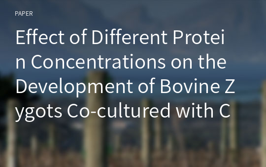 Effect of Different Protein Concentrations on the Development of Bovine Zygots Co-cultured with Cumulus Cell