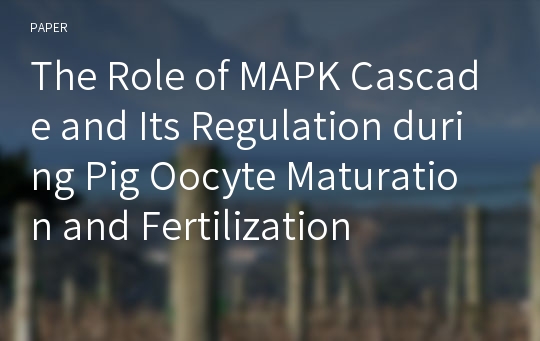 The Role of MAPK Cascade and Its Regulation during Pig Oocyte Maturation and Fertilization