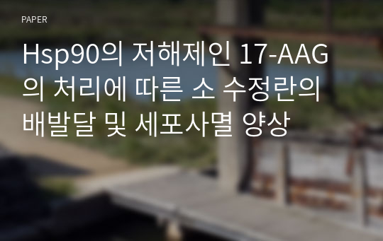 Hsp90의 저해제인 17-AAG의 처리에 따른 소 수정란의 배발달 및 세포사멸 양상