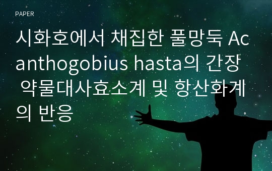 시화호에서 채집한 풀망둑 Acanthogobius hasta의 간장 약물대사효소계 및 항산화계의 반응