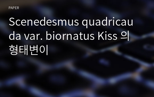 Scenedesmus quadricauda var. biornatus Kiss 의 형태변이