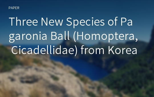 Three New Species of Pagaronia Ball (Homoptera, Cicadellidae) from Korea