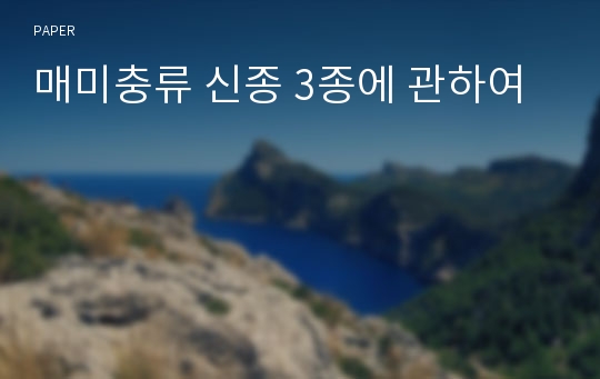 매미충류 신종 3종에 관하여