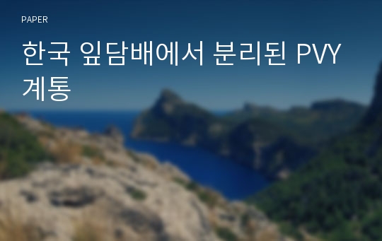 한국 잎담배에서 분리된 PVY계통