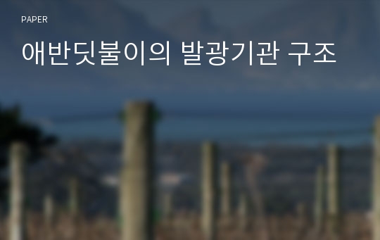 애반딧불이의 발광기관 구조