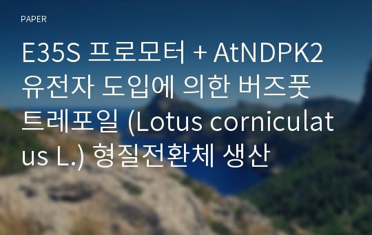 E35S 프로모터 + AtNDPK2 유전자 도입에 의한 버즈풋 트레포일 (Lotus corniculatus L.) 형질전환체 생산