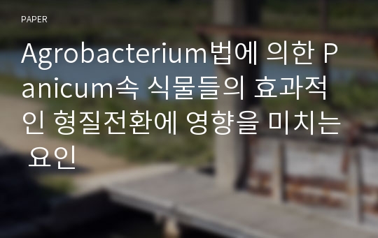 Agrobacterium법에 의한 Panicum속 식물들의 효과적인 형질전환에 영향을 미치는 요인