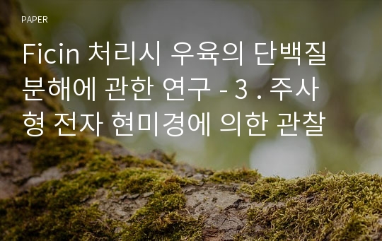 Ficin 처리시 우육의 단백질 분해에 관한 연구 - 3 . 주사형 전자 현미경에 의한 관찰