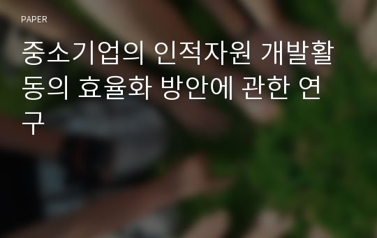 중소기업의 인적자원 개발활동의 효율화 방안에 관한 연구