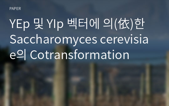 YEp 및 YIp 벡터에 의(依)한 Saccharomyces cerevisiae의 Cotransformation