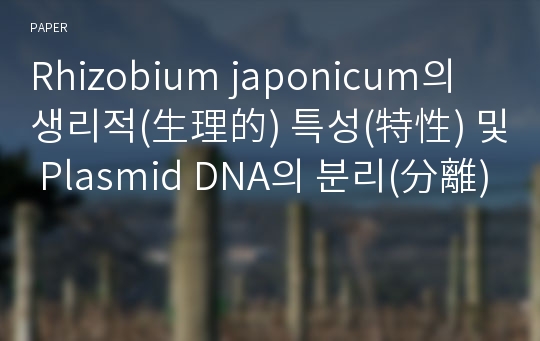 Rhizobium japonicum의 생리적(生理的) 특성(特性) 및 Plasmid DNA의 분리(分離)