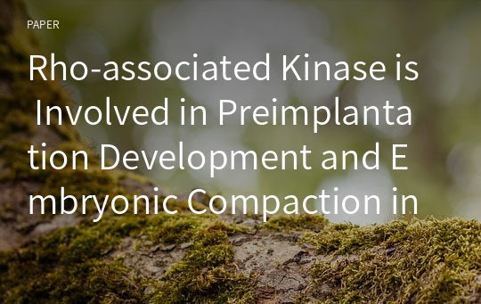 Rho-associated Kinase is Involved in Preimplantation Development and Embryonic Compaction in Pigs