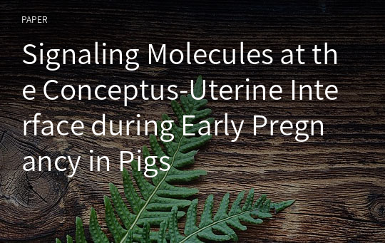 Signaling Molecules at the Conceptus-Uterine Interface during Early Pregnancy in Pigs