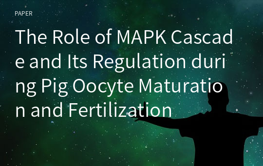 The Role of MAPK Cascade and Its Regulation during Pig Oocyte Maturation and Fertilization