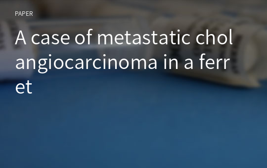 A case of metastatic cholangiocarcinoma in a ferret