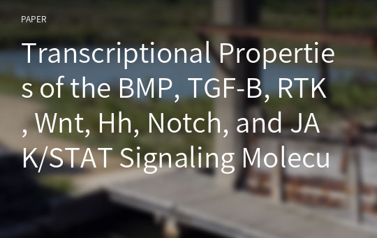 Transcriptional Properties of the BMP, TGF-B, RTK, Wnt, Hh, Notch, and JAK/STAT Signaling Molecules in Mouse Embryonic Stem Cells