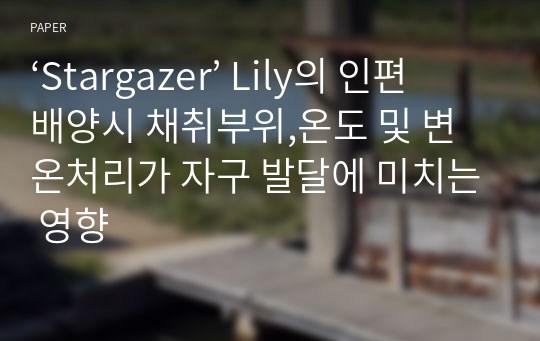 ‘Stargazer’ Lily의 인편배양시 채취부위,온도 및 변온처리가 자구 발달에 미치는 영향