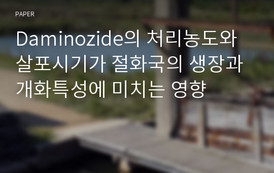 Daminozide의 처리농도와 살포시기가 절화국의 생장과 개화특성에 미치는 영향