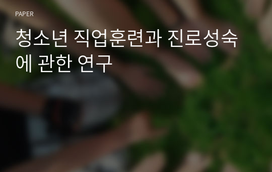 청소년 직업훈련과 진로성숙에 관한 연구