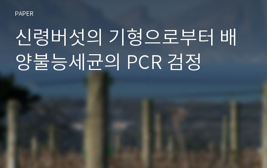 신령버섯의 기형으로부터 배양불능세균의 PCR 검정