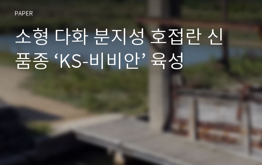 소형 다화 분지성 호접란 신품종 ‘KS-비비안’ 육성