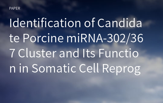 Identification of Candidate Porcine miRNA-302/367 Cluster and Its Function in Somatic Cell Reprogramming