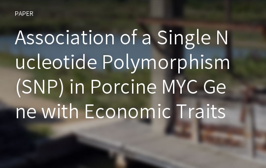 Association of a Single Nucleotide Polymorphism (SNP) in Porcine MYC Gene with Economic Traits in Pigs