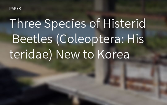 Three Species of Histerid Beetles (Coleoptera: Histeridae) New to Korea