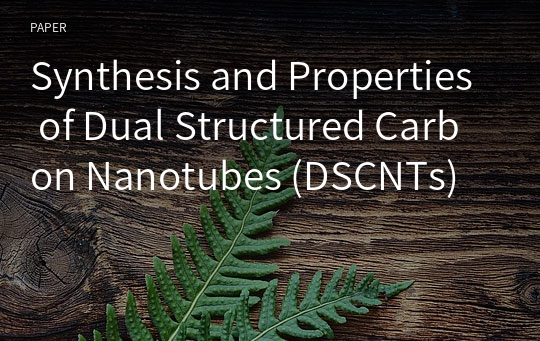 Synthesis and Properties of Dual Structured Carbon Nanotubes (DSCNTs)