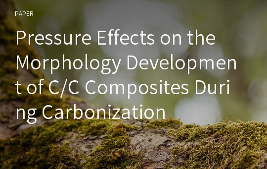 Pressure Effects on the Morphology Development of C/C Composites During Carbonization