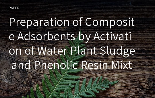 Preparation of Composite Adsorbents by Activation of Water Plant Sludge and Phenolic Resin Mixtures