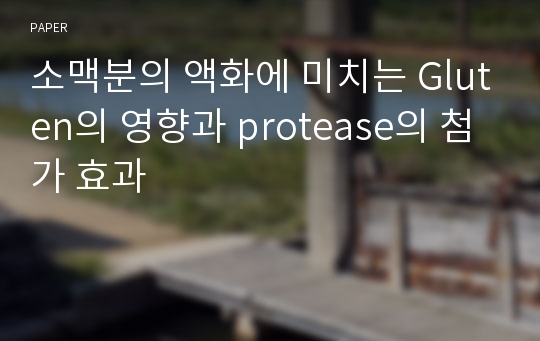 소맥분의 액화에 미치는 Gluten의 영향과 protease의 첨가 효과