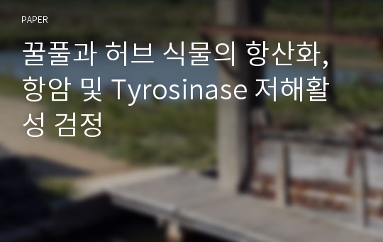 꿀풀과 허브 식물의 항산화, 항암 및 Tyrosinase 저해활성 검정