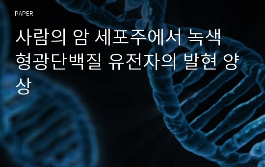 사람의 암 세포주에서 녹색 형광단백질 유전자의 발현 양상