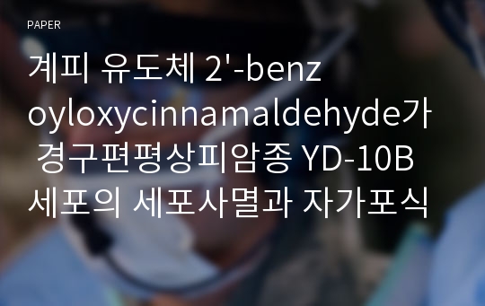 계피 유도체 2&#039;-benzoyloxycinnamaldehyde가 경구편평상피암종 YD-10B 세포의 세포사멸과 자가포식 유도