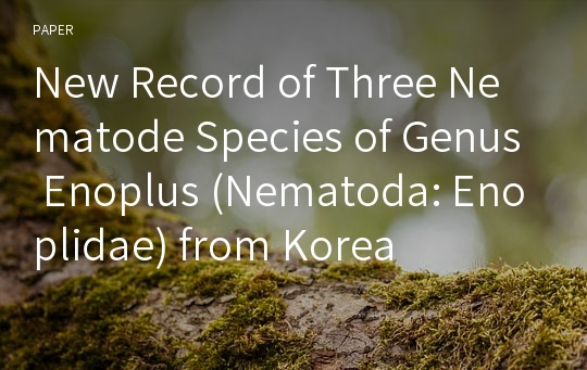 New Record of Three Nematode Species of Genus Enoplus (Nematoda: Enoplidae) from Korea