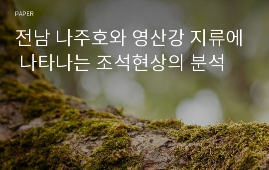 전남 나주호와 영산강 지류에 나타나는 조석현상의 분석