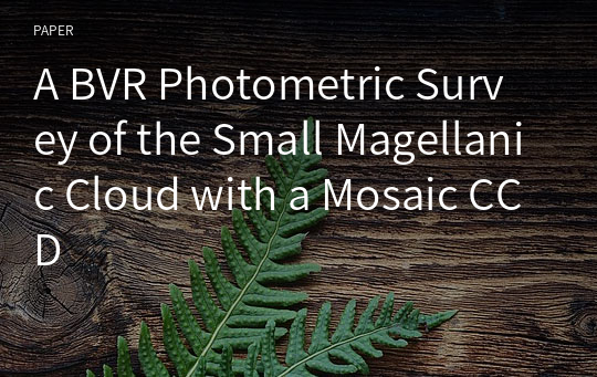 A BVR Photometric Survey of the Small Magellanic Cloud with a Mosaic CCD