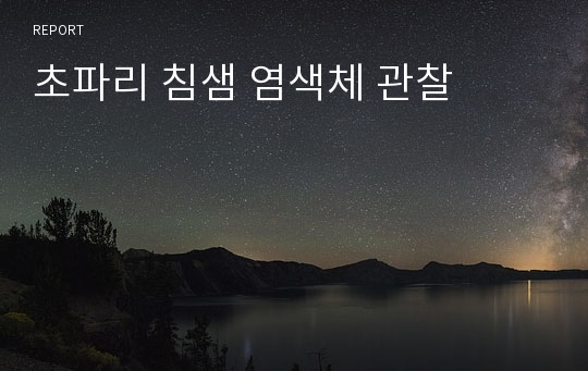 초파리 침샘 염색체 관찰