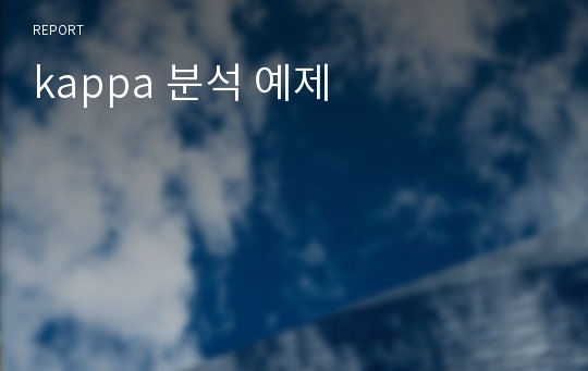 kappa 분석 예제