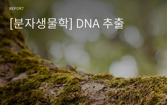 [분자생물학] DNA 추출