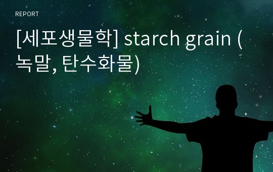 [세포생물학] starch grain (녹말, 탄수화물)