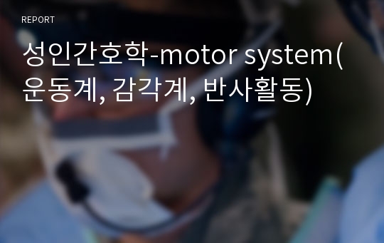 성인간호학-motor system(운동계, 감각계, 반사활동)