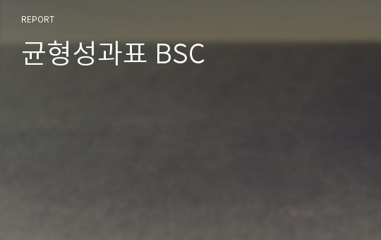 균형성과표 BSC