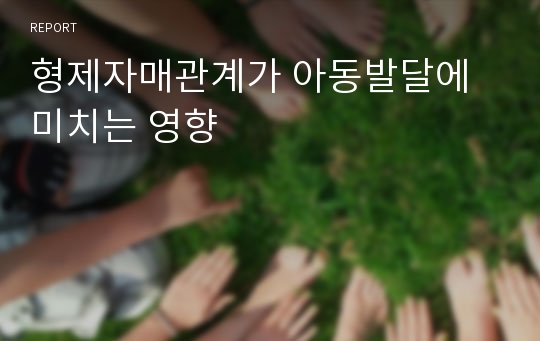 형제자매관계가 아동발달에 미치는 영향