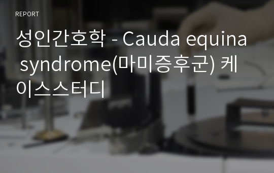 성인간호학 - Cauda equina syndrome(마미증후군) 케이스스터디