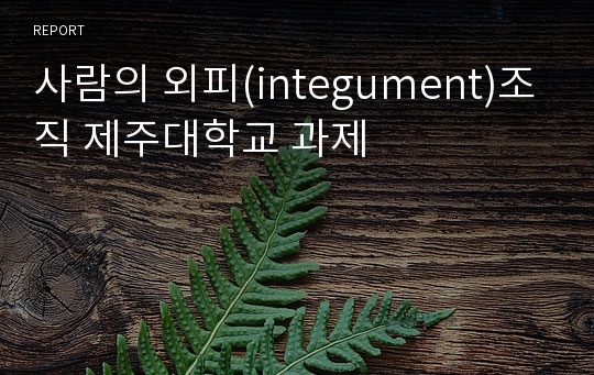 사람의 외피(integument)조직 제주대학교 과제