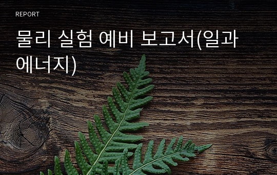 물리 실험 예비 보고서(일과 에너지)