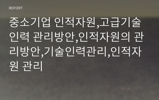 중소기업 인적자원,고급기술인력 관리방안,인적자원의 관리방안,기술인력관리,인적자원 관리