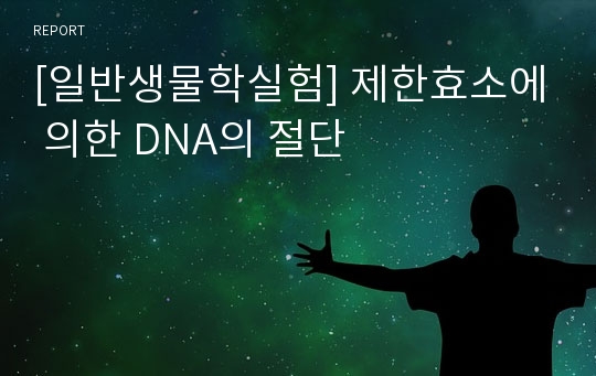 [일반생물학실험] 제한효소에 의한 DNA의 절단